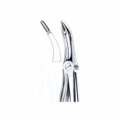 Extarcting Forceps 
